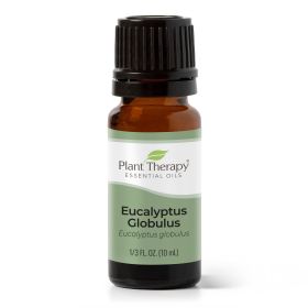 Eucalyptus Globulus Essential Oil 10 mL