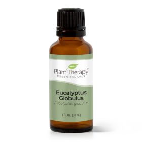 Eucalyptus Globulus Essential Oil 30 mL