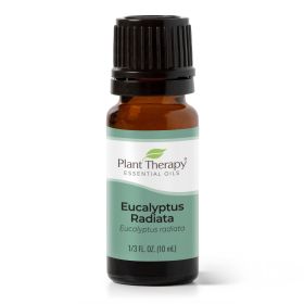 Eucalyptus Radiata Essential Oil 10 mL